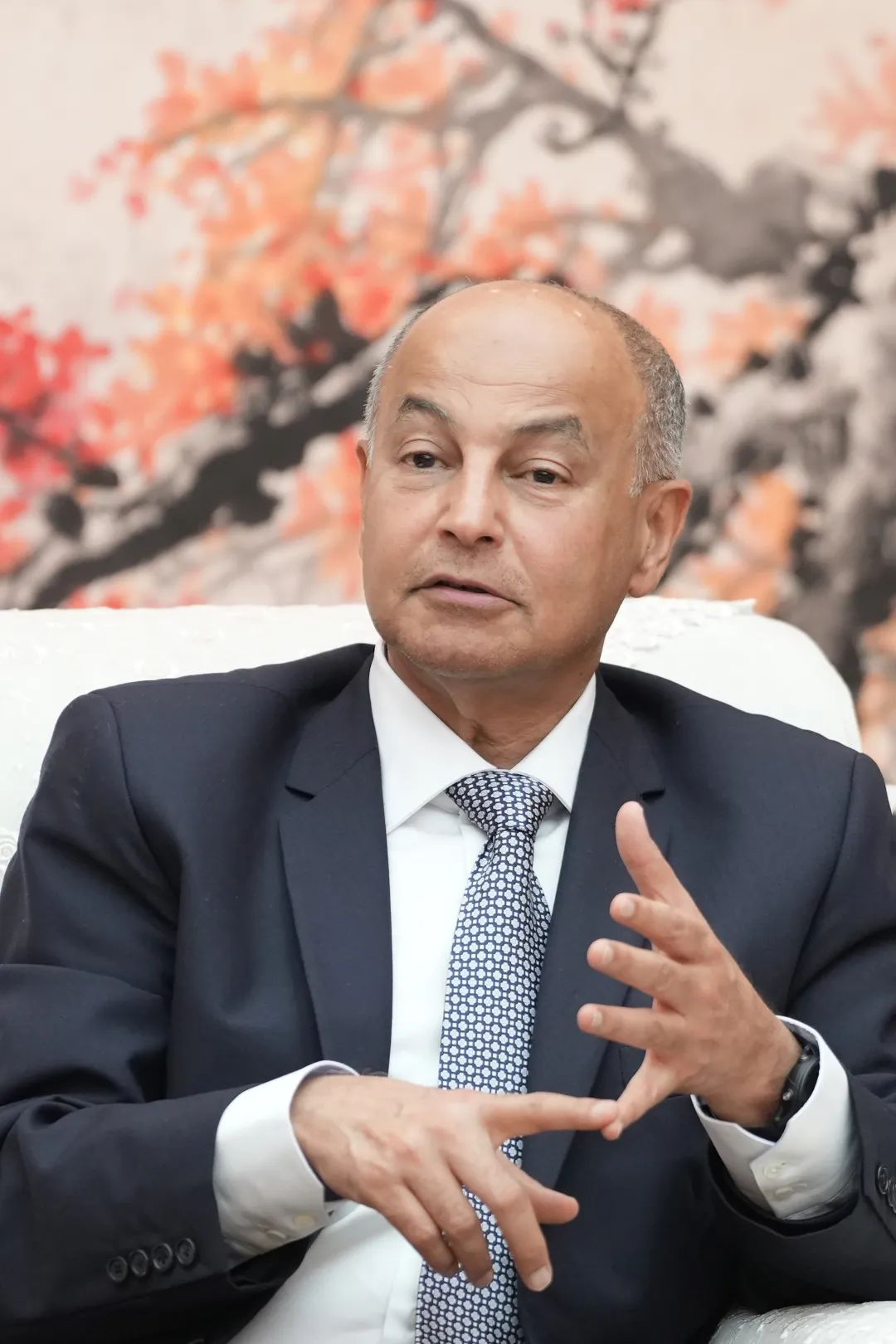 莫伟浓-亚奥理事会总干事、国际泳联主席侯赛因·阿-FZ100211861708 图片